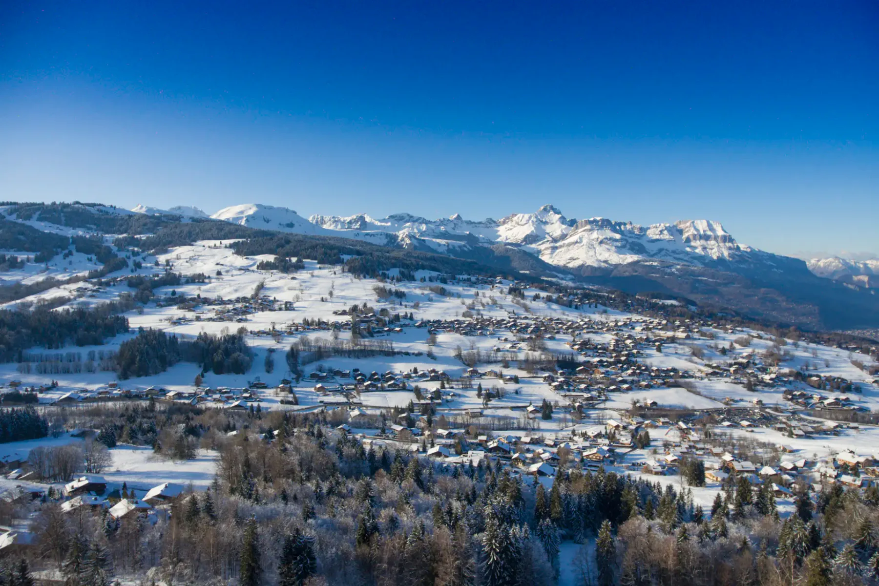 Chalet Zebrano
