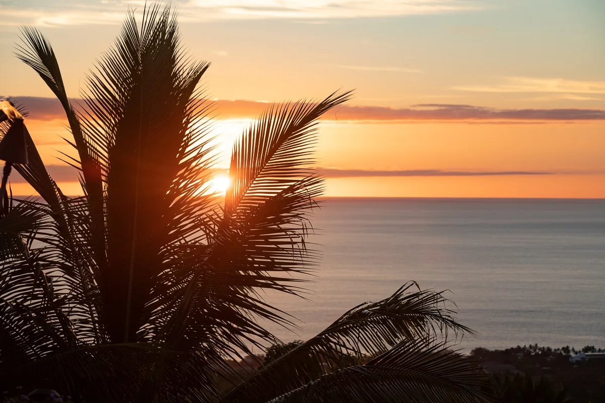 Las hojas de una palmera enmarcan el atardecer sobre el mar en calma.
