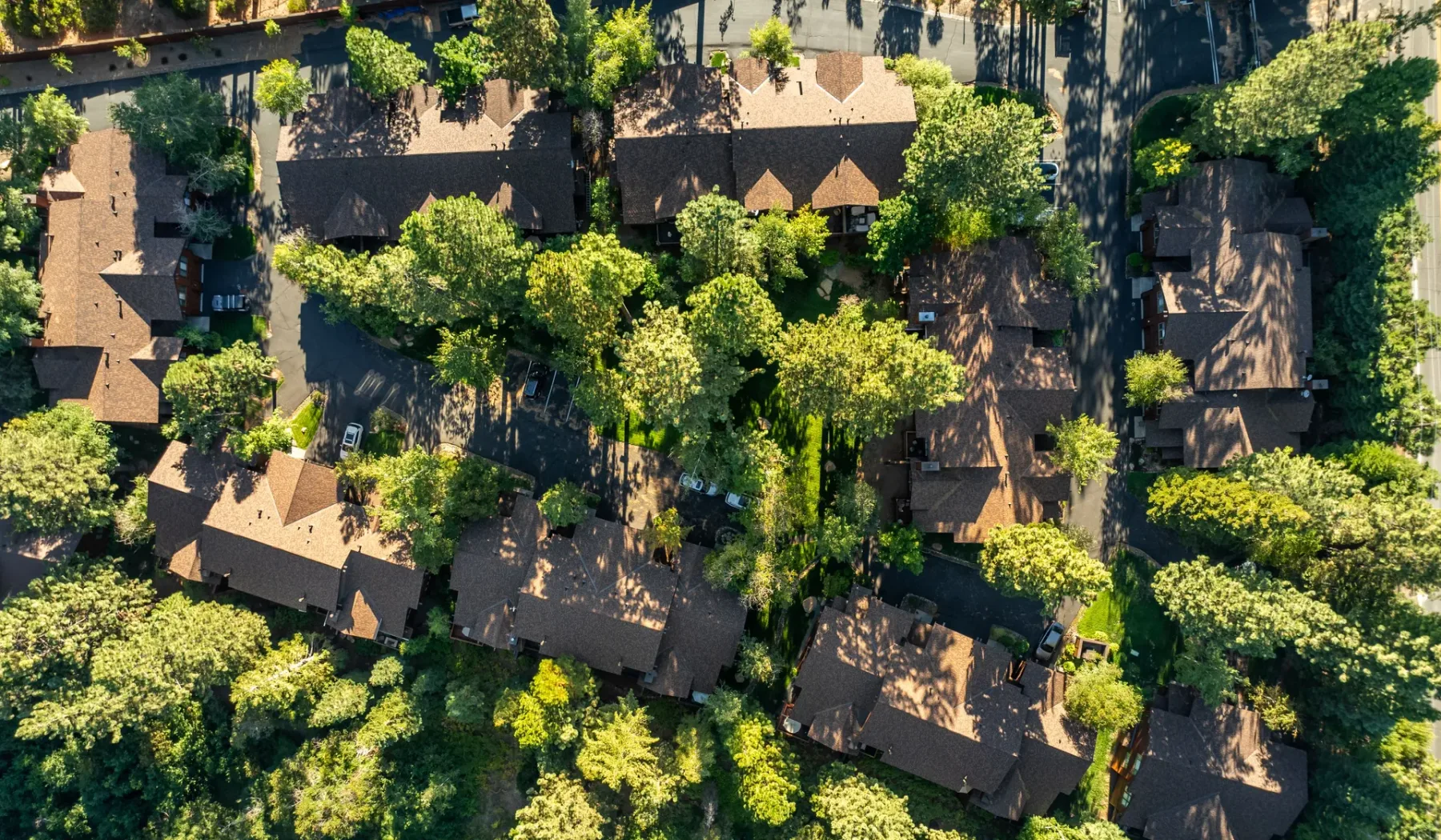 Vista aérea de edificios entre árboles frondosos y vegetación.