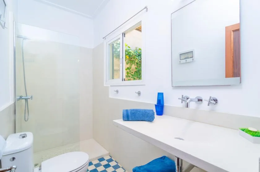 Un baño luminoso con un largo lavabo y una ducha.