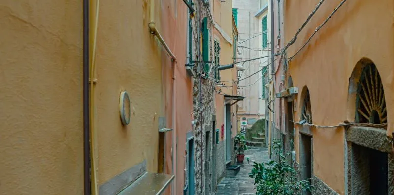Un callejón estrecho con adoquines pasa entre edificios muy juntos, con plantas a lo largo.