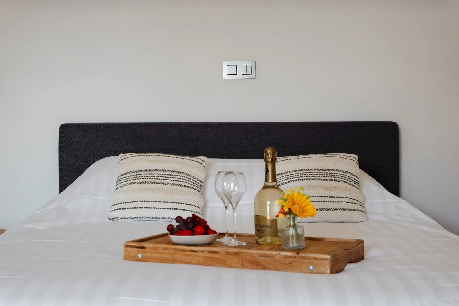 Suite 1