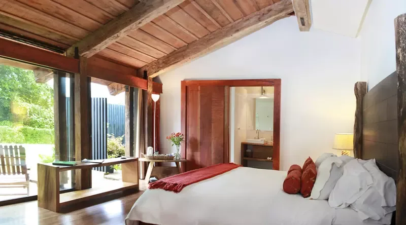 Habitación Tucancillo