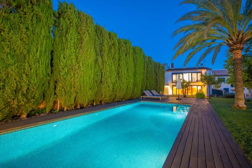 Una piscina junto a una terraza de madera, setos altos y una palmera.