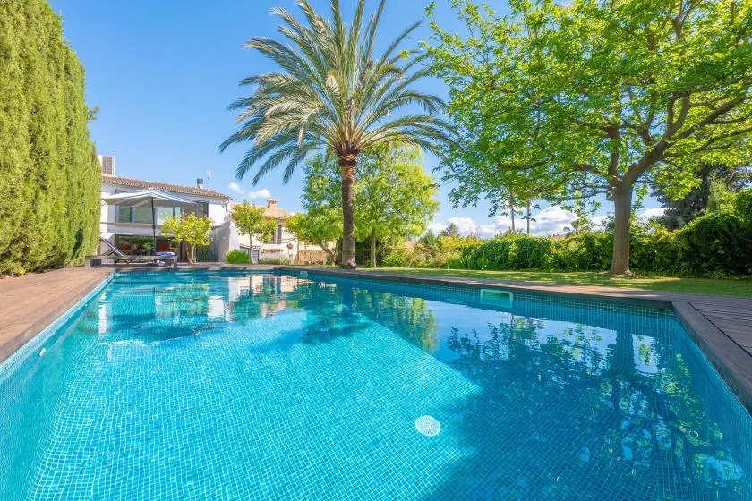 Una piscina rodeada de árboles y una terraza de madera.