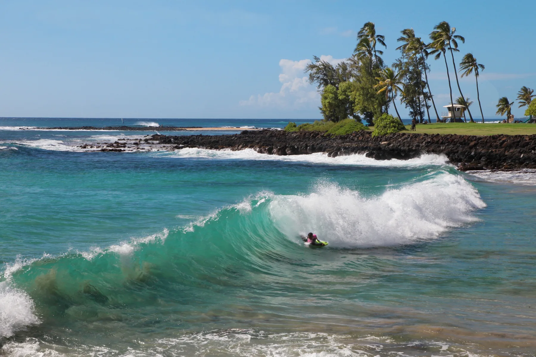 Una persona surfea una ola curvada junto a una costa bordeada de palmeras.
