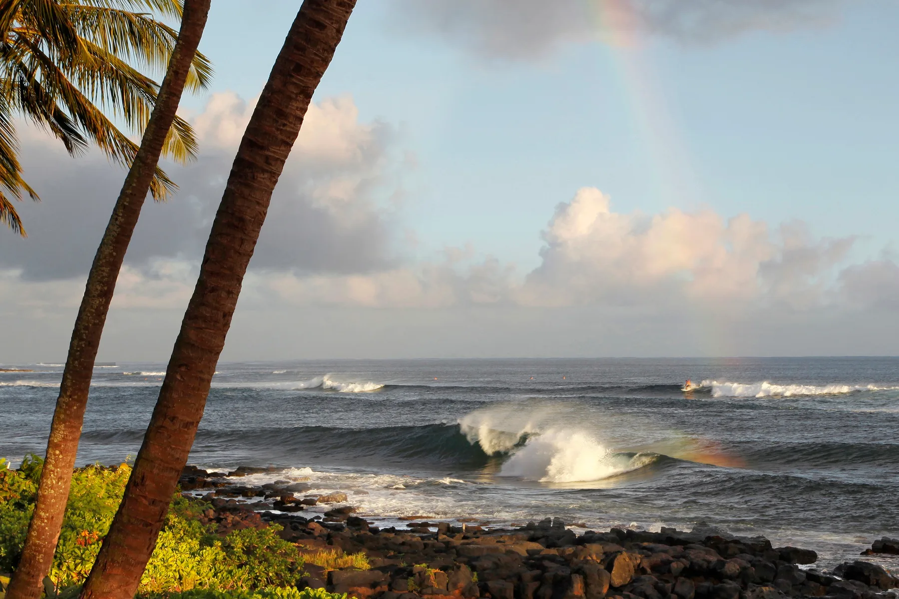 Las olas rompen en una costa rocosa bajo palmeras inclinadas.