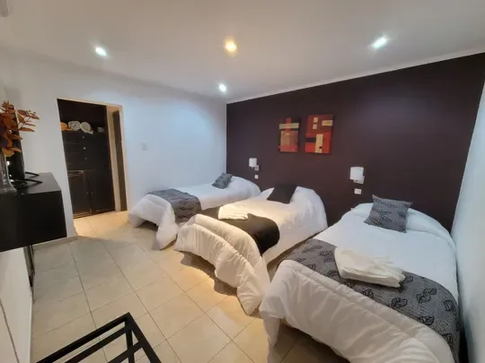 Tres camas individuales con cojines grises, una pared oscura y un armario junto al baño.