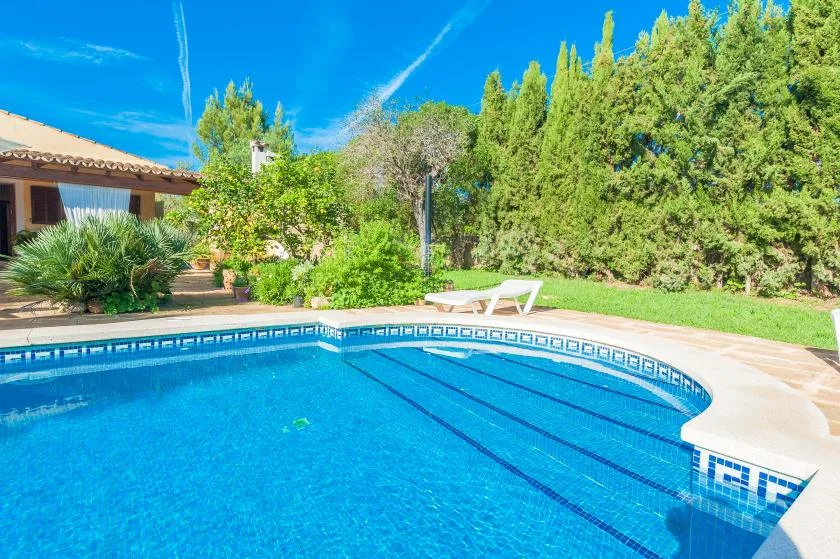 Una piscina al aire libre rodeada de vegetación y un patio soleado.