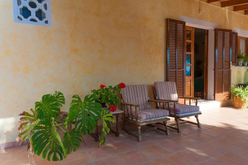 A sunny patio with two striped seats and leafy potted plants.
