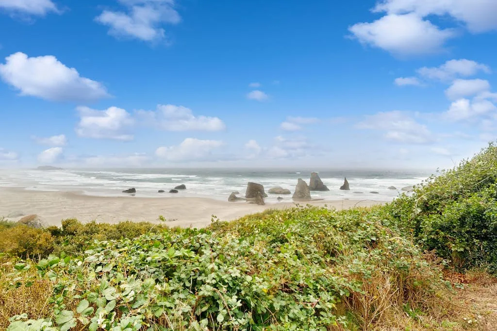 Una playa de arena y olas del océano se ven detrás de la vegetación costera.