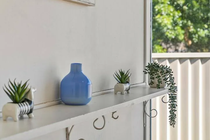 A bright interior ledge displays a blue vase and small potted plants.