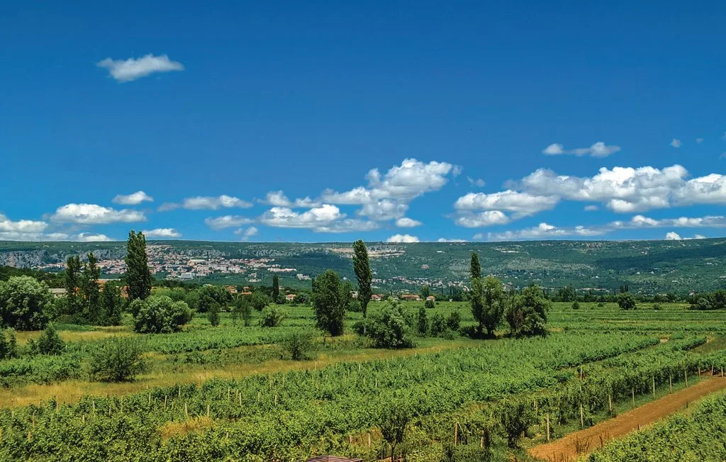 Un amplio paisaje verde con campos y colinas lejanas bajo un cielo azul.