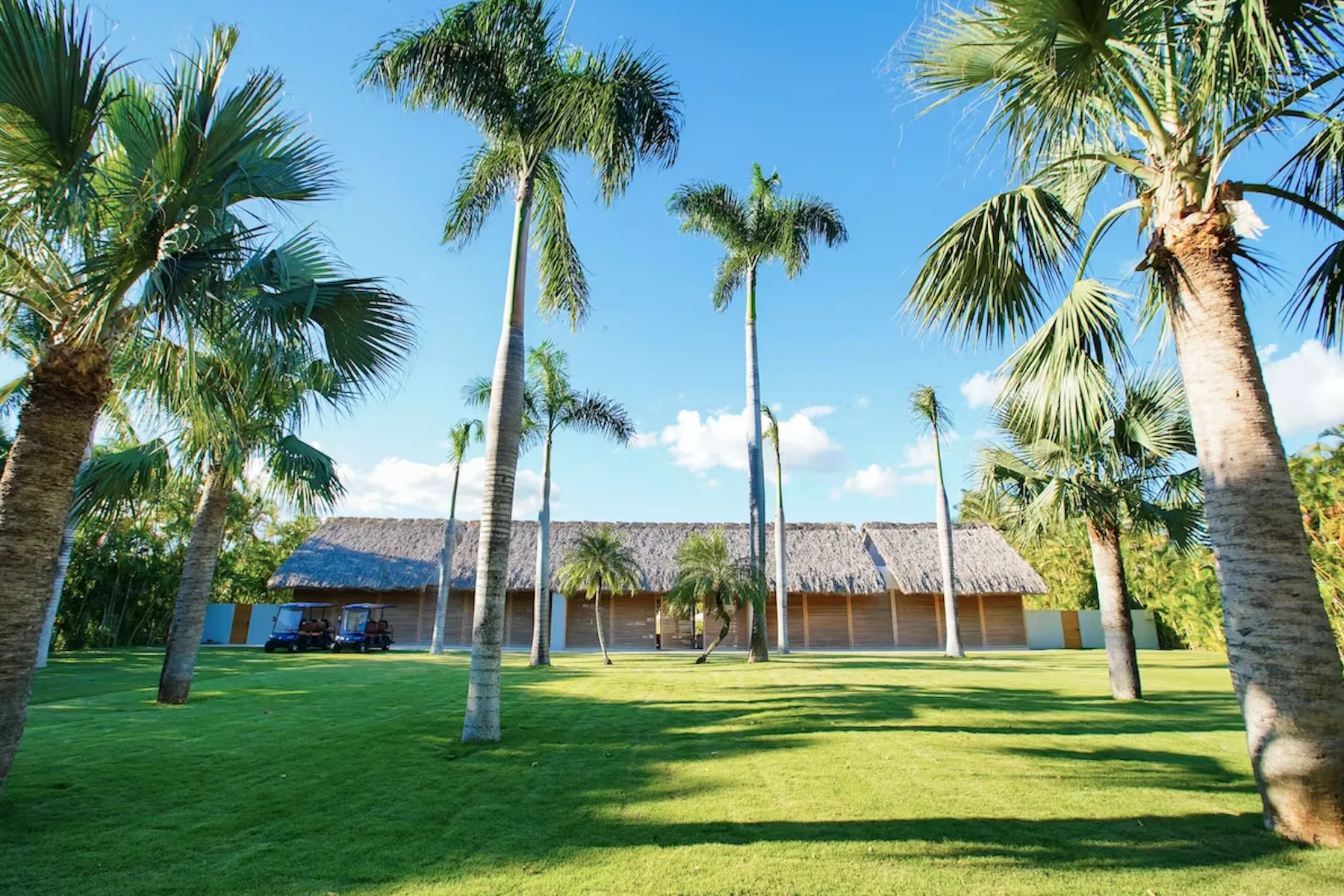 A thatched-roof building stands beyond a broad lawn lined with palm trees.