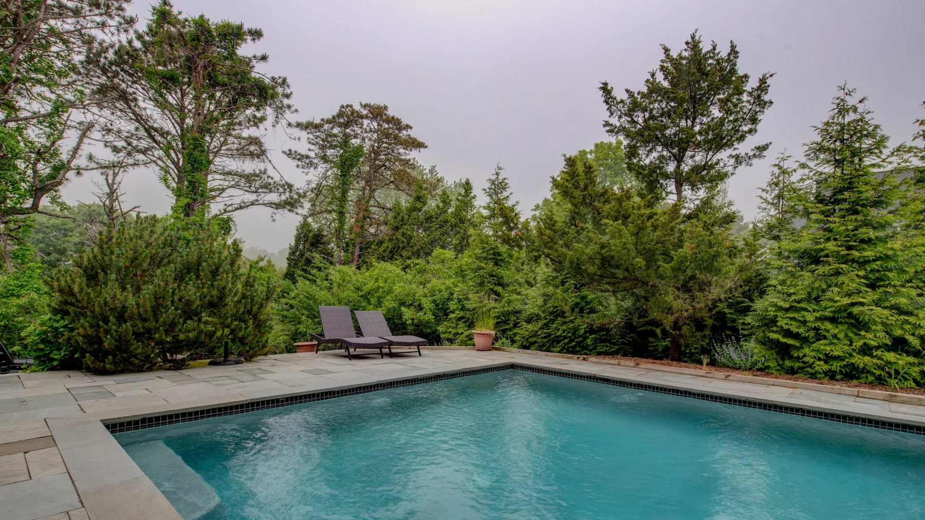 An outdoor swimming pool is surrounded by trees and greenery.