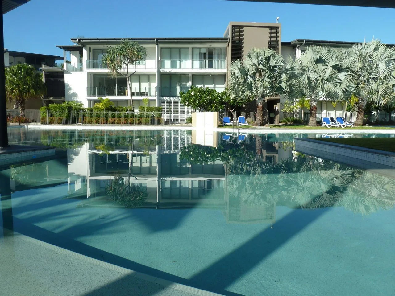 Una piscina refleja un edificio moderno y las palmeras cercanas.