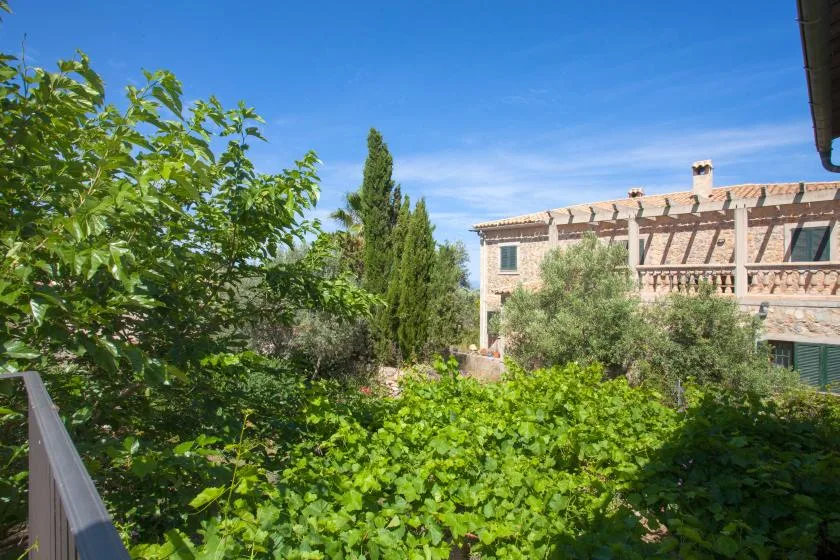 A leafy garden with climbing greenery sits beside a stone building under a blue sky.