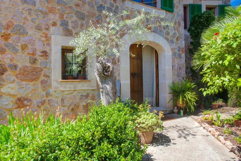 A stone house entrance with a wooden door, framed by leafy plants.