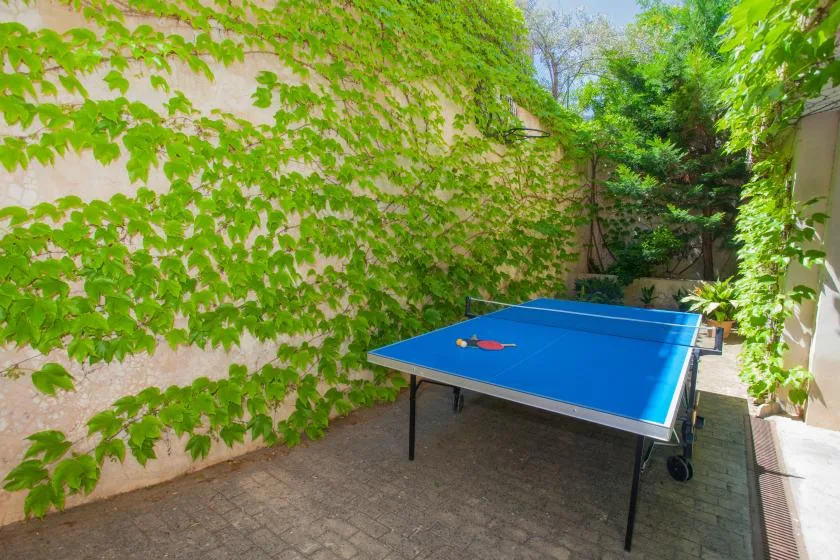 A blue table tennis table sits in a leafy outdoor courtyard.