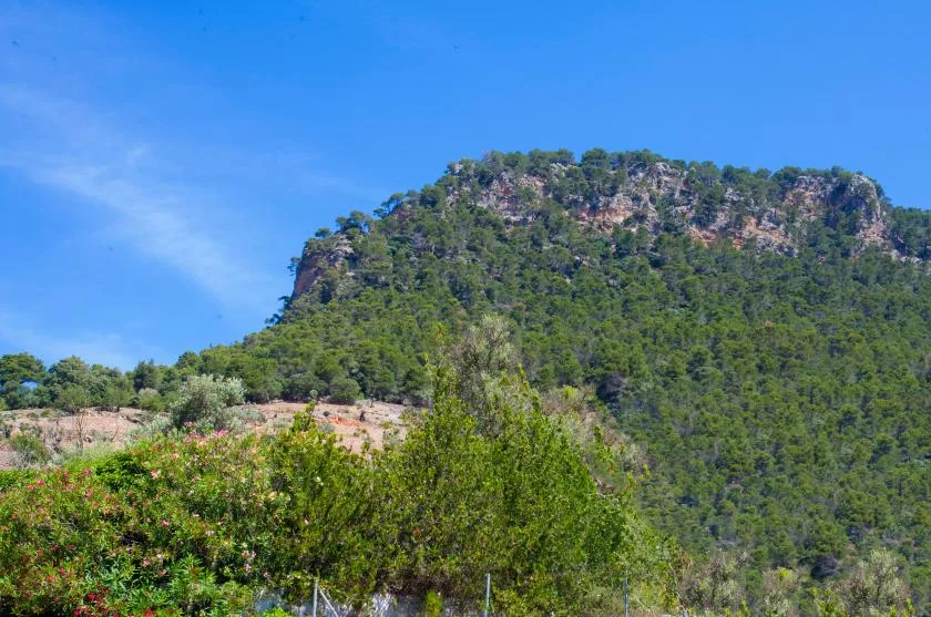 A forested rocky hillside rises above dense green vegetation under a blue sky.