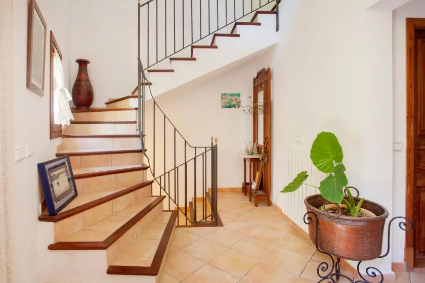 A tiled entry hall features a staircase with dark metal railings and a potted plant.
