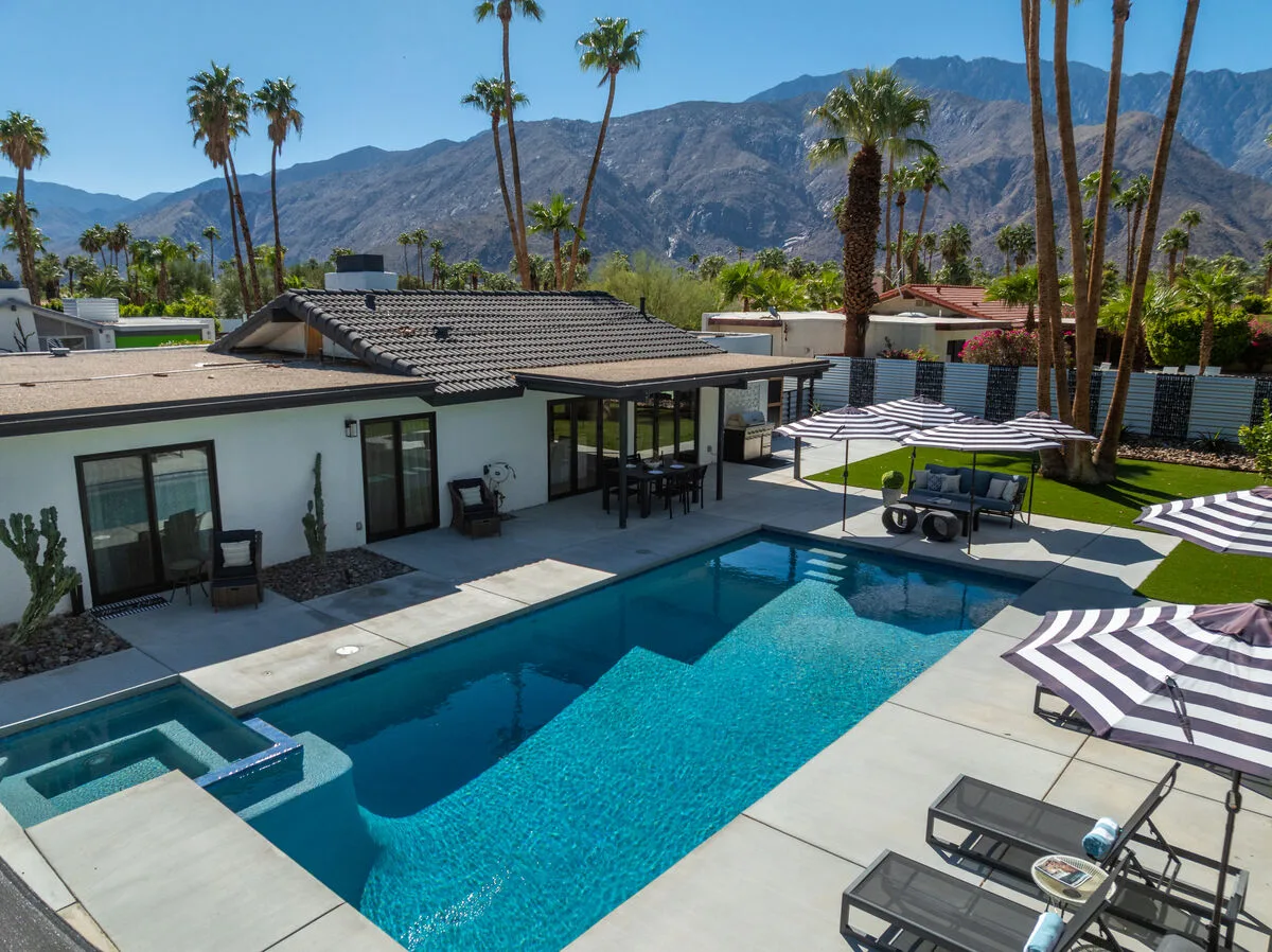Alluring Palms