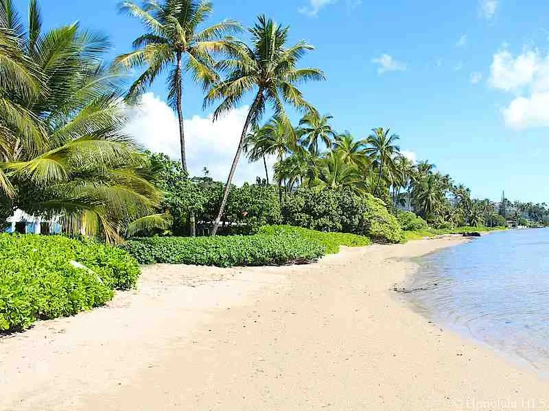 Una playa de arena bordeada de palmeras se encuentra con aguas azules tranquilas.