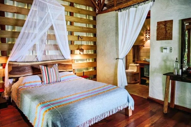 Bedroom with a mosquito net over the bed.
