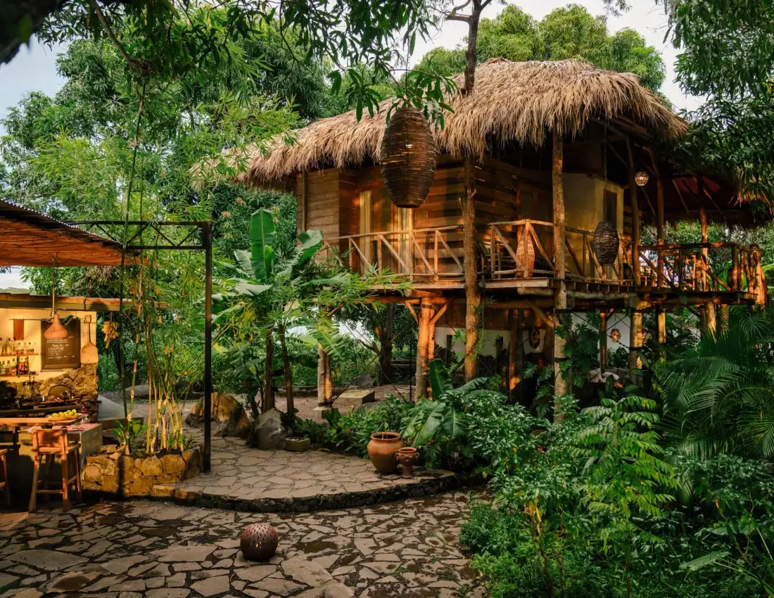 Wooden treehouse with a thatched roof amid lush greenery.