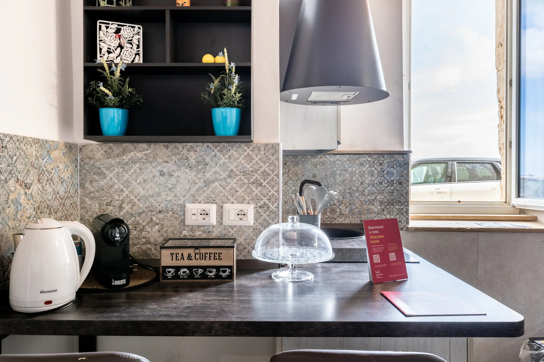Una encimera de cocina con pequeños electrodomésticos, plantas decorativas y una ventana.