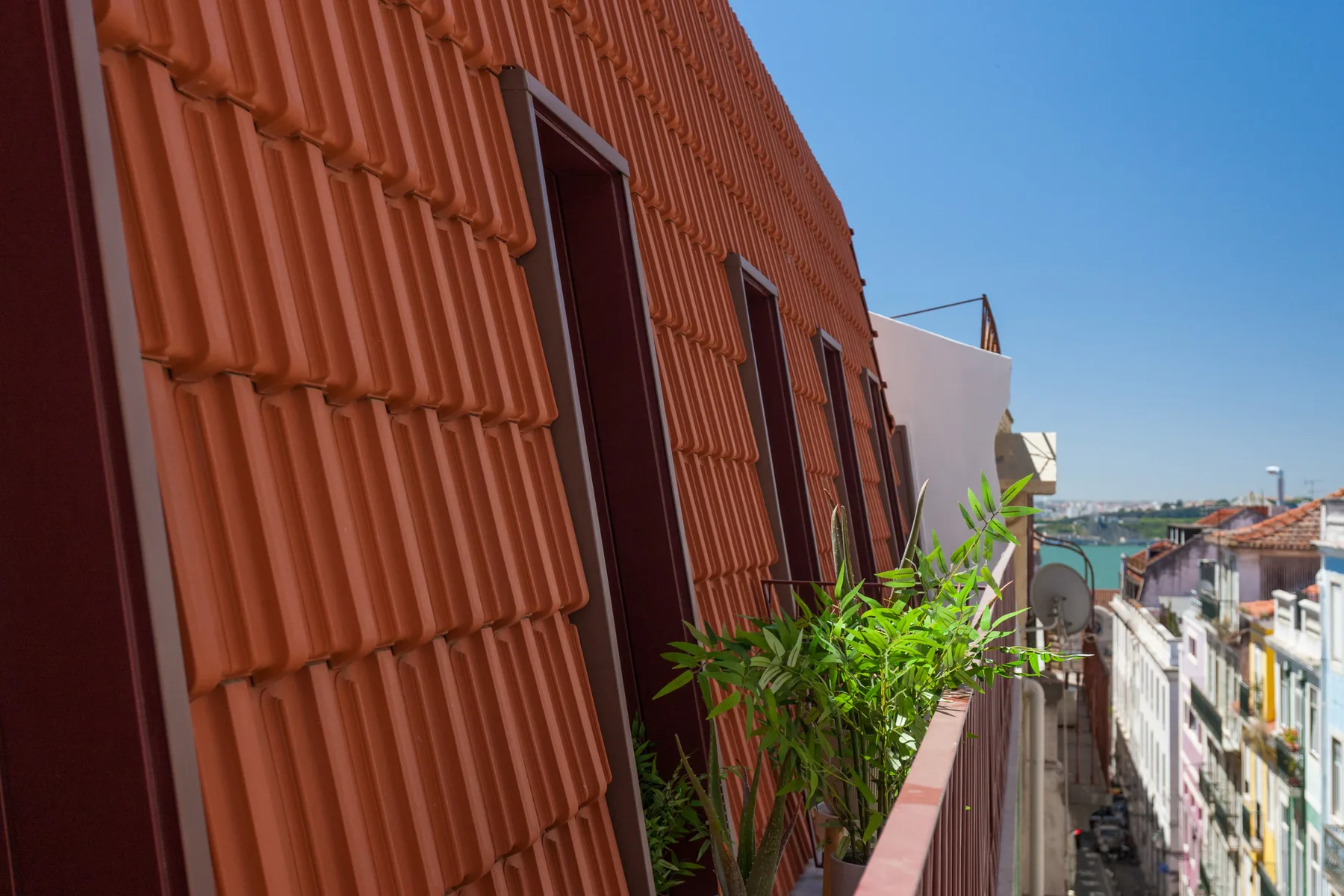 A narrow balcony with leafy plants overlooks a street of buildings.
