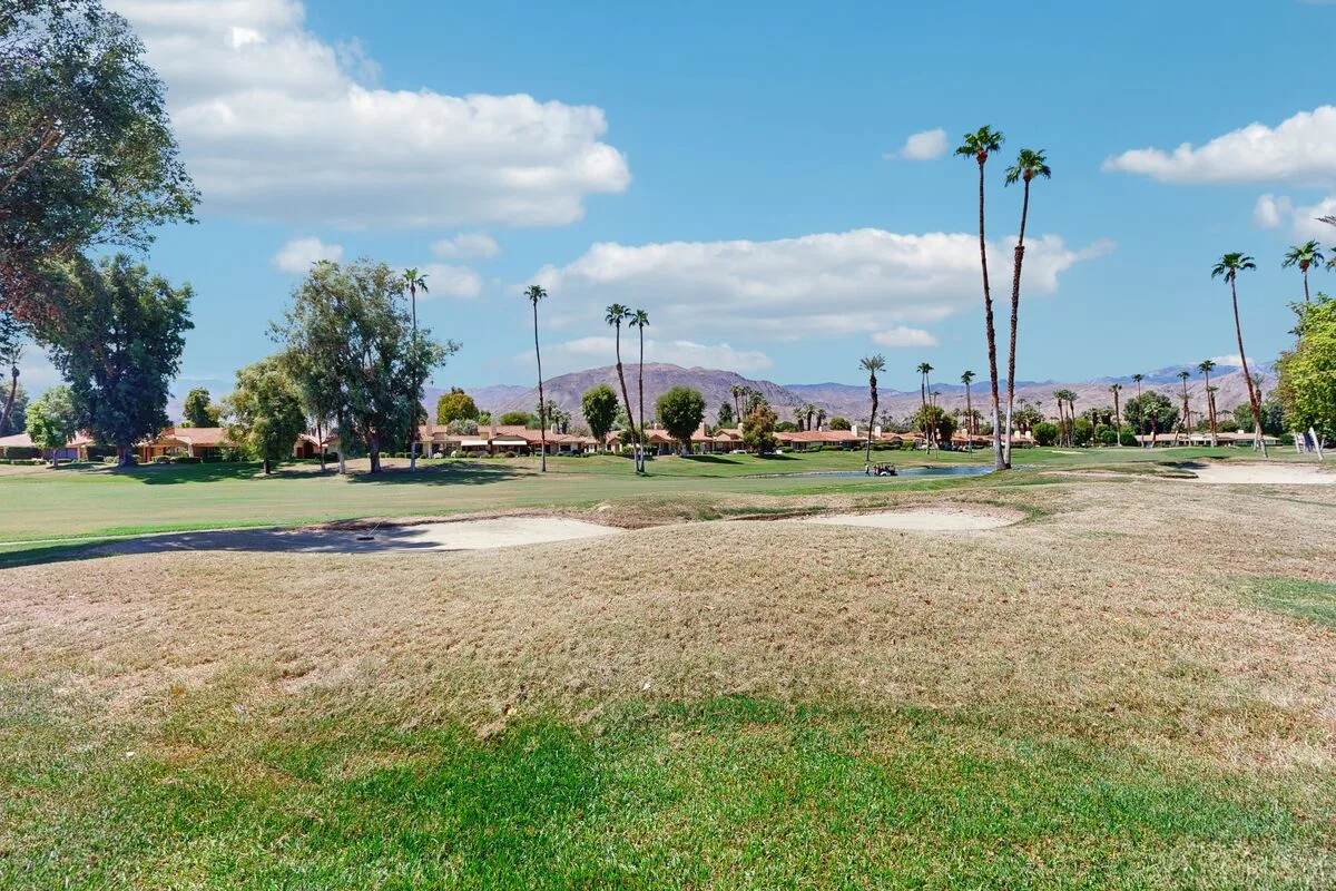 An open grassy park landscape with palm trees and distant mountains.