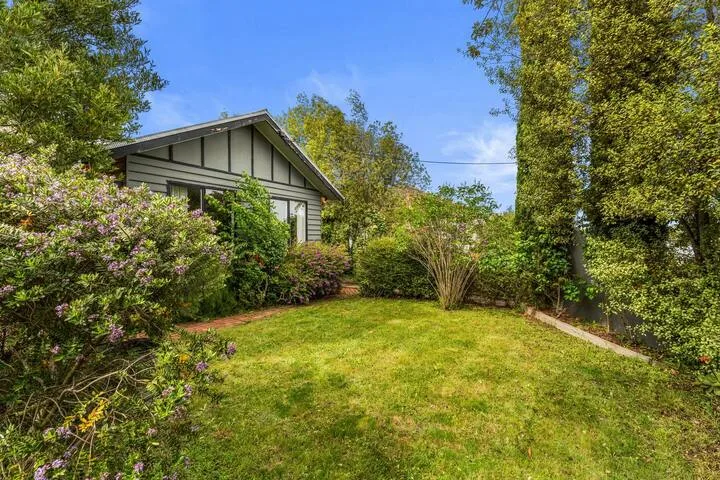 A grassy garden with shrubs and a small house.