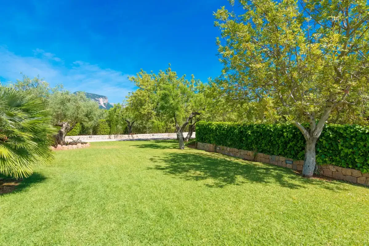 Un jardín con césped amplio, árboles y un seto recortado.