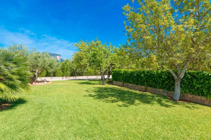 Un césped soleado en un jardín, bordeado de árboles y un muro bajo de piedra.