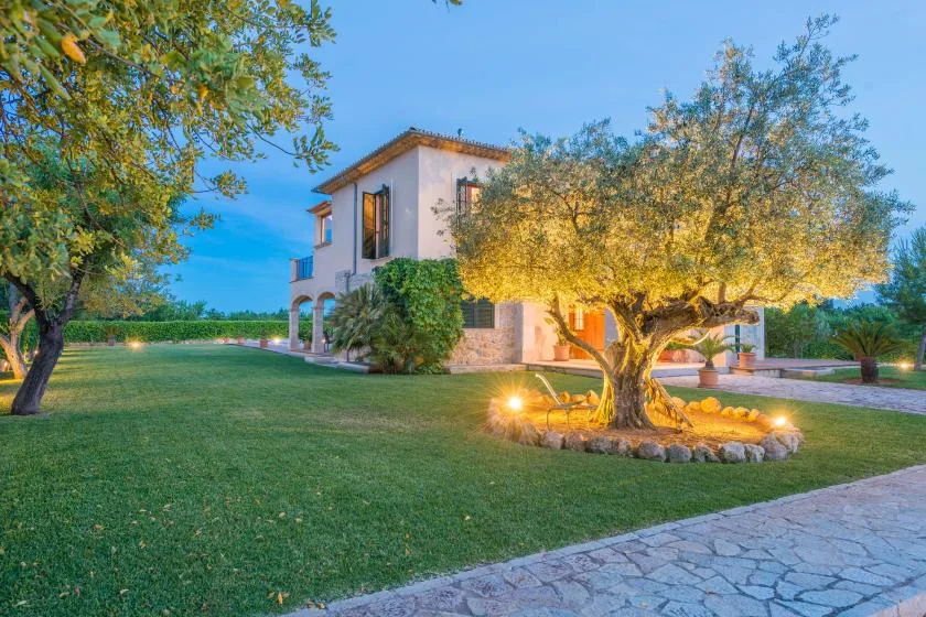 Una casa de dos plantas se alza detrás del césped, con un gran árbol iluminado delante.