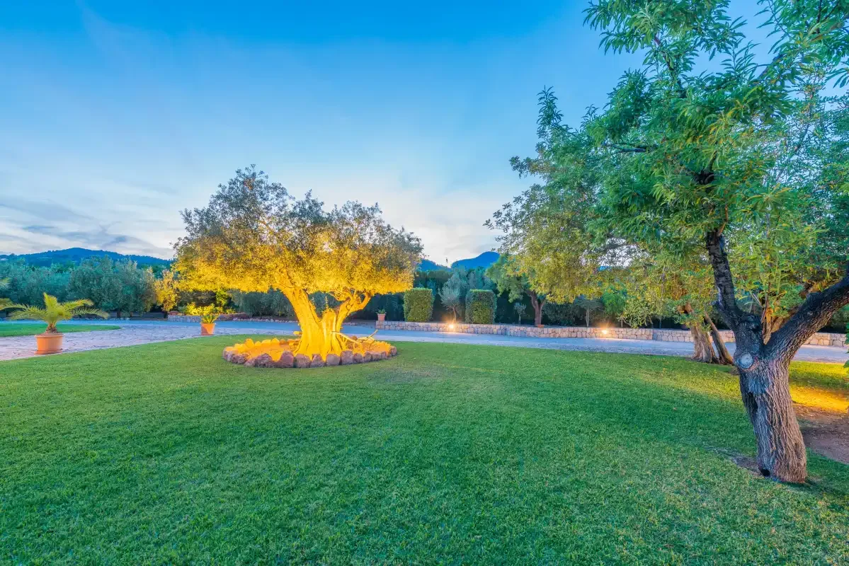 Un jardín ajardinado con césped amplio, un árbol en flor y una piscina.