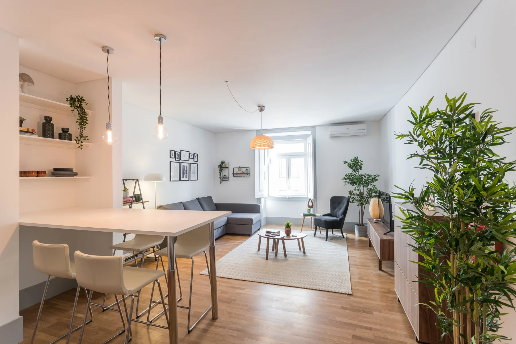 Una sala luminosa con mesa de comedor, asientos y varias plantas.