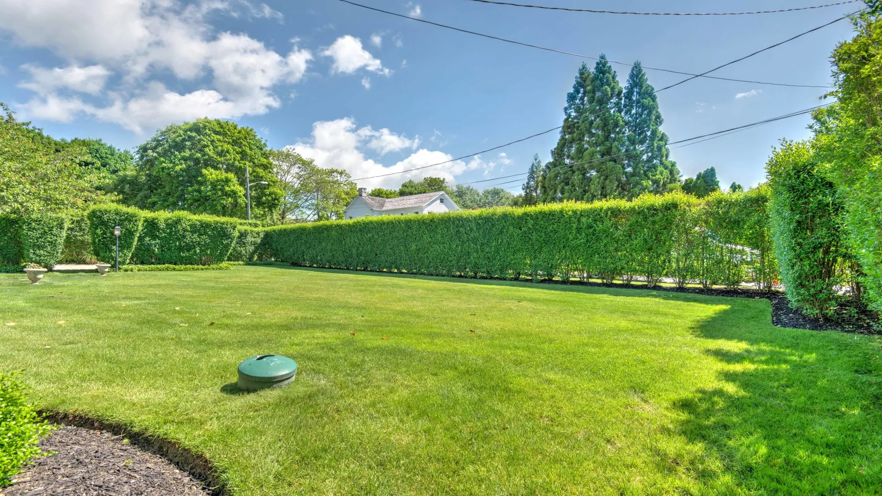 A grassy outdoor yard is bordered by tall hedges and trees.
