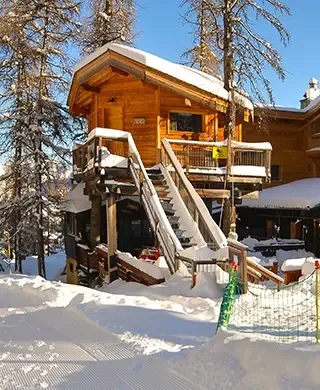 Casa en el árbol