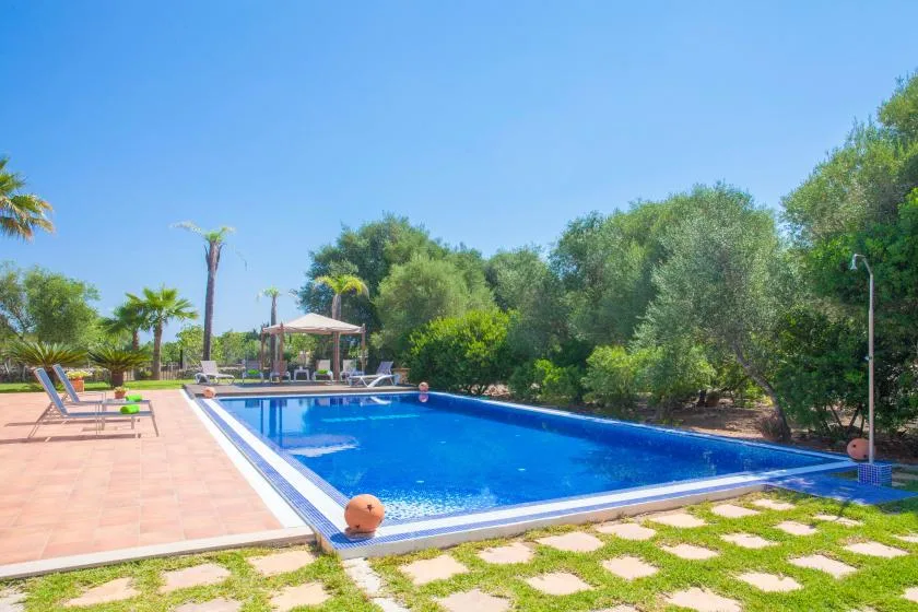 An outdoor swimming pool is surrounded by a paved patio and greenery.