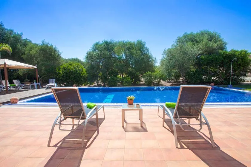 A swimming pool with lounge seating on a sunlit tiled patio.