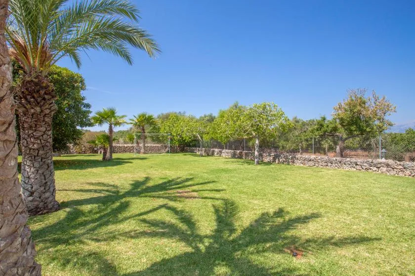 A sunny garden lawn with palm trees and leafy greenery.