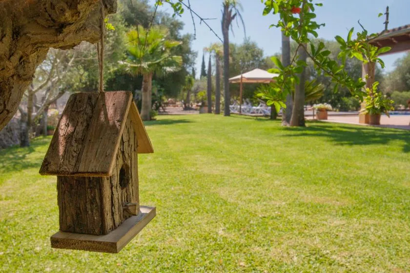 A landscaped garden with a wooden birdhouse beside a broad grassy lawn.