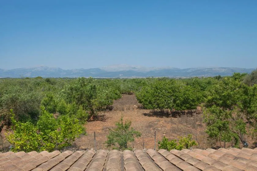 A dry, tree-filled landscape stretches toward distant mountains beneath a clear sky.