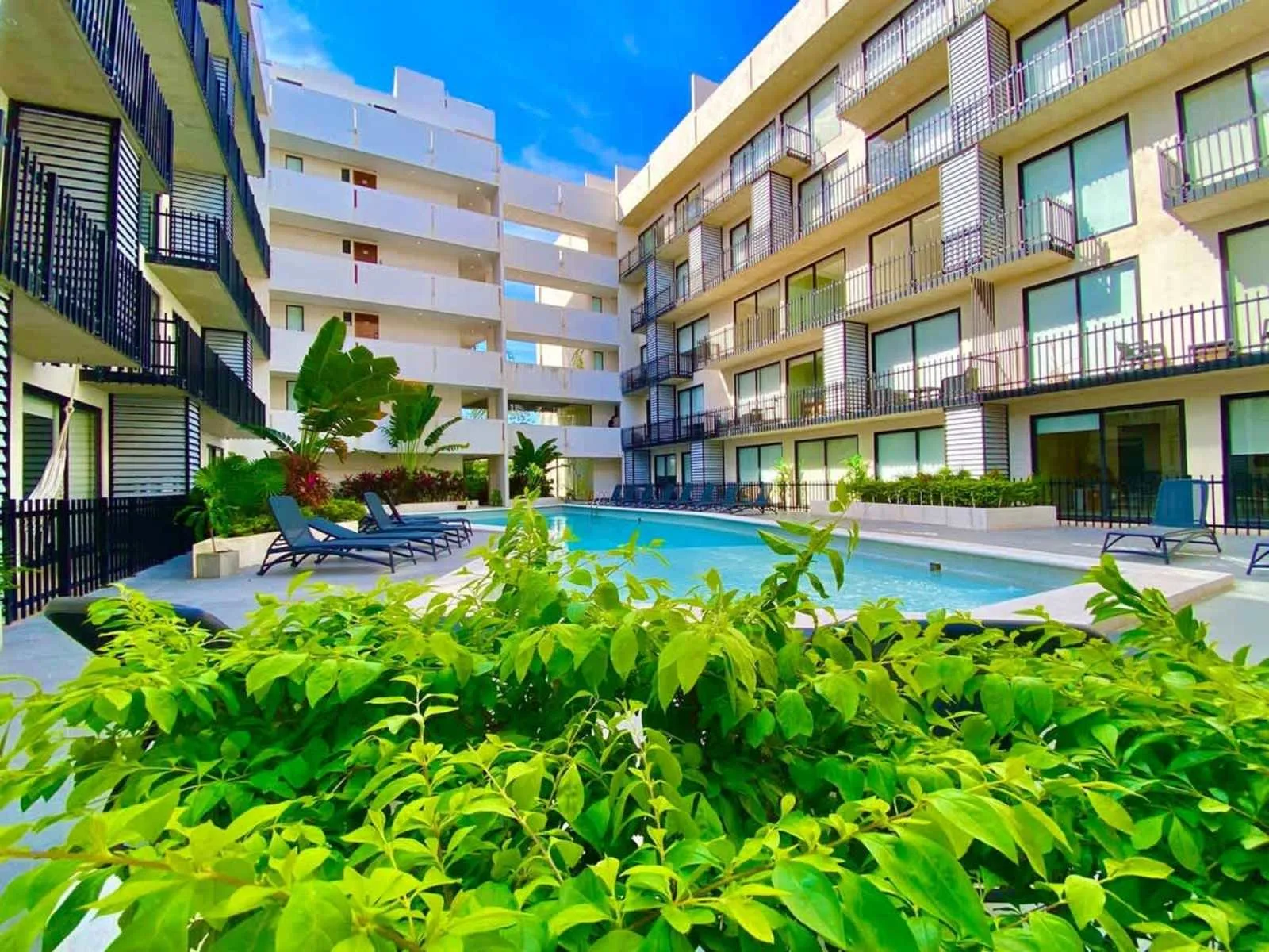 Una piscina en un patio está rodeada de edificios de apartamentos y plantas frondosas.