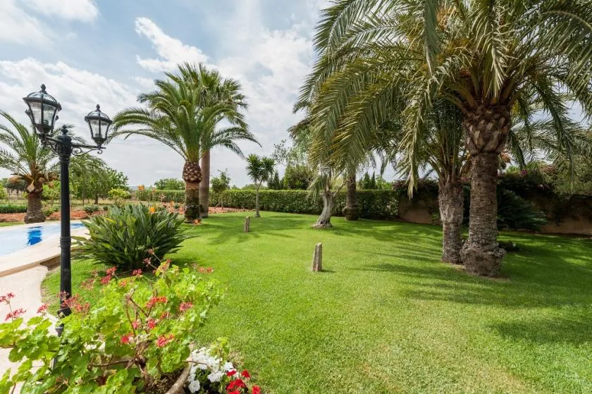 Un jardín ajardinado con palmeras, césped verde y una piscina.