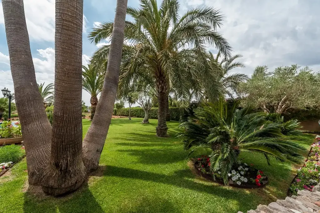 Un jardín cuidado con palmeras, césped verde y parterres de flores.