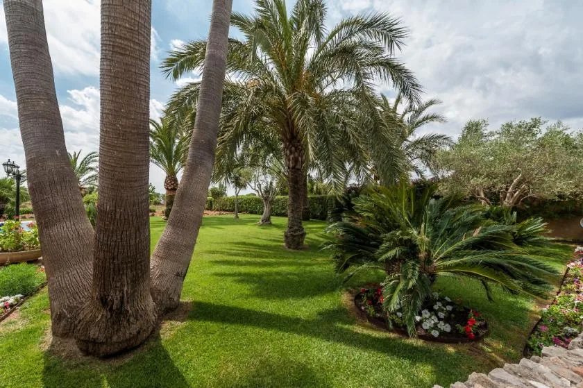 Un jardín ajardinado con palmeras, césped verde y plantas con flores.
