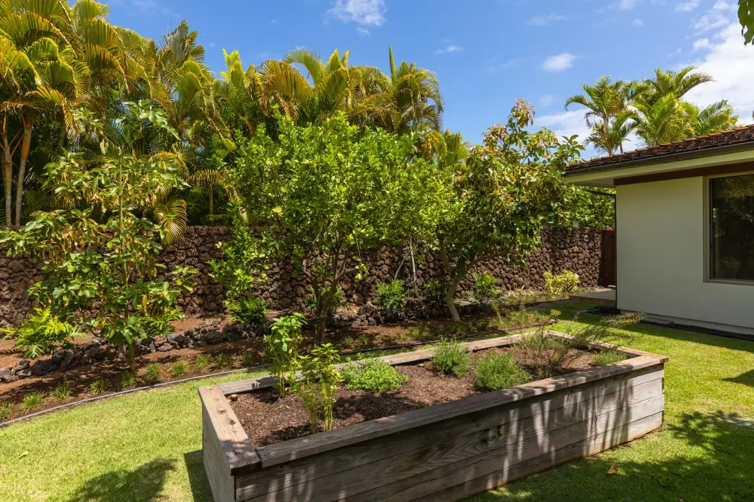 A garden with a raised planter surrounded by leafy tropical plants.